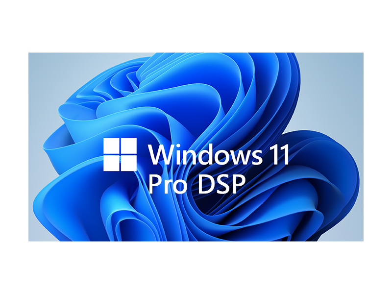 Microsoft Windows 11 Professional 64-bit DSP Operating System